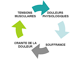 Comprendre le mécanisme de la douleur.
